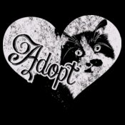 Adopt